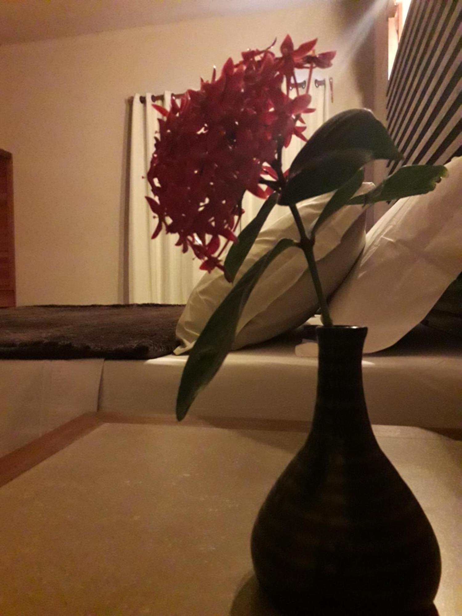 Alfa Beach (Adults Only) Cacha Pregos Kamer foto